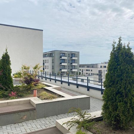 Astoria Apartment - Pet Friendly Braşov Exterior foto